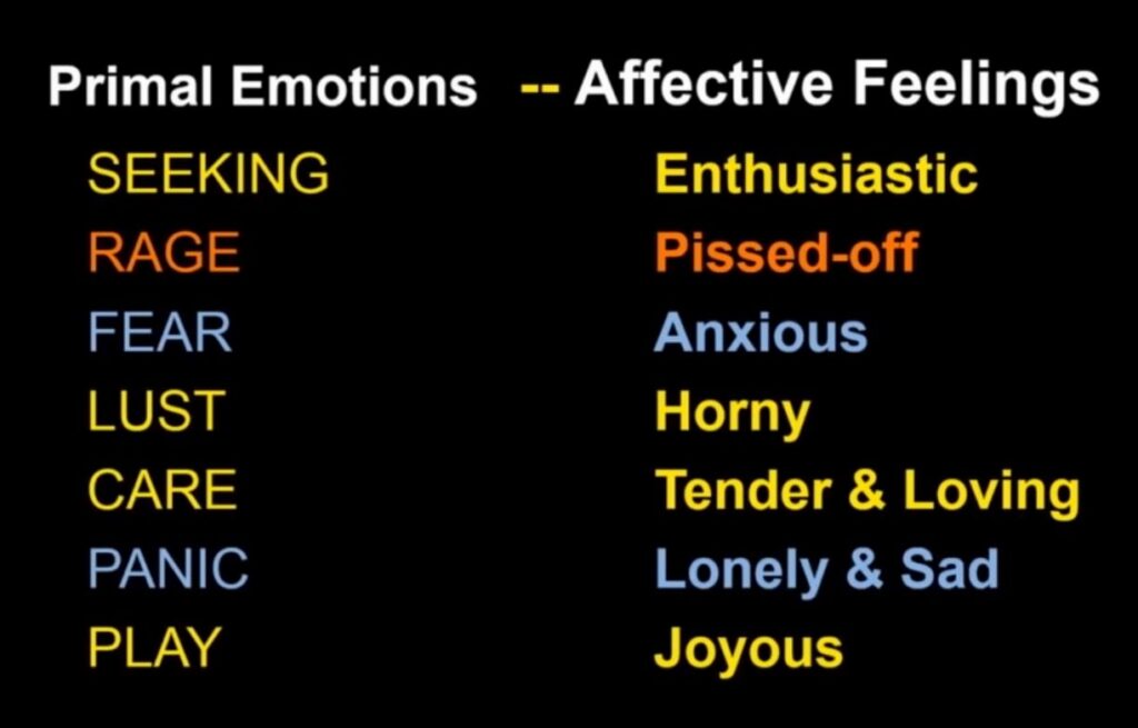 Print Screen from Jaak PankSepp TedX Talk on YouTube 13 Jan 2014