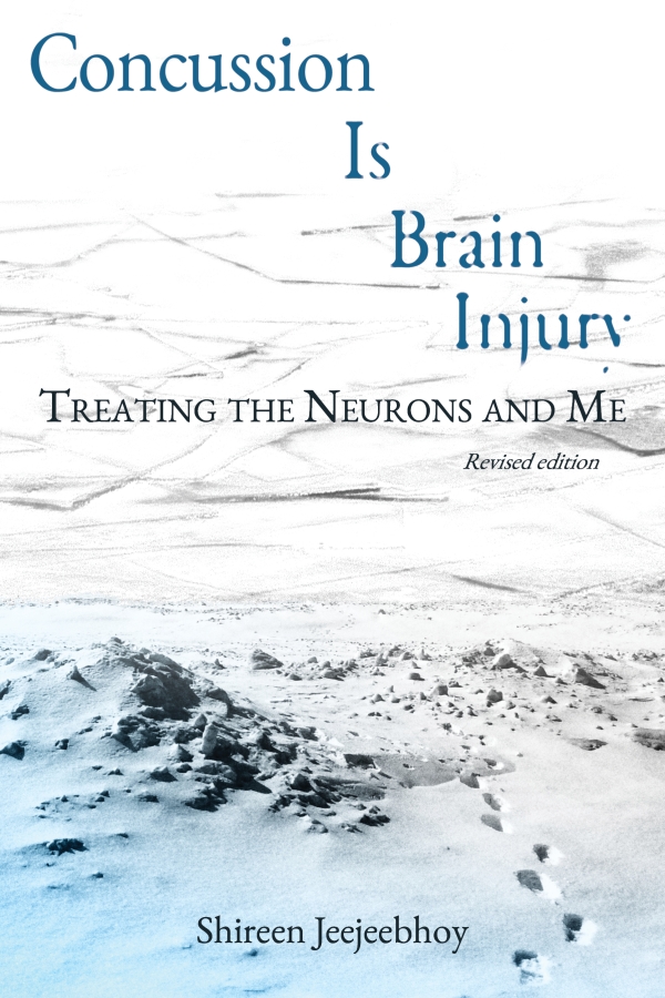 Cover of Concussion Is Brain Injury: Treating the Neurons and Me. Ice at the top, snow and footprints leading to the ice at the bottom with gradient sky blue.