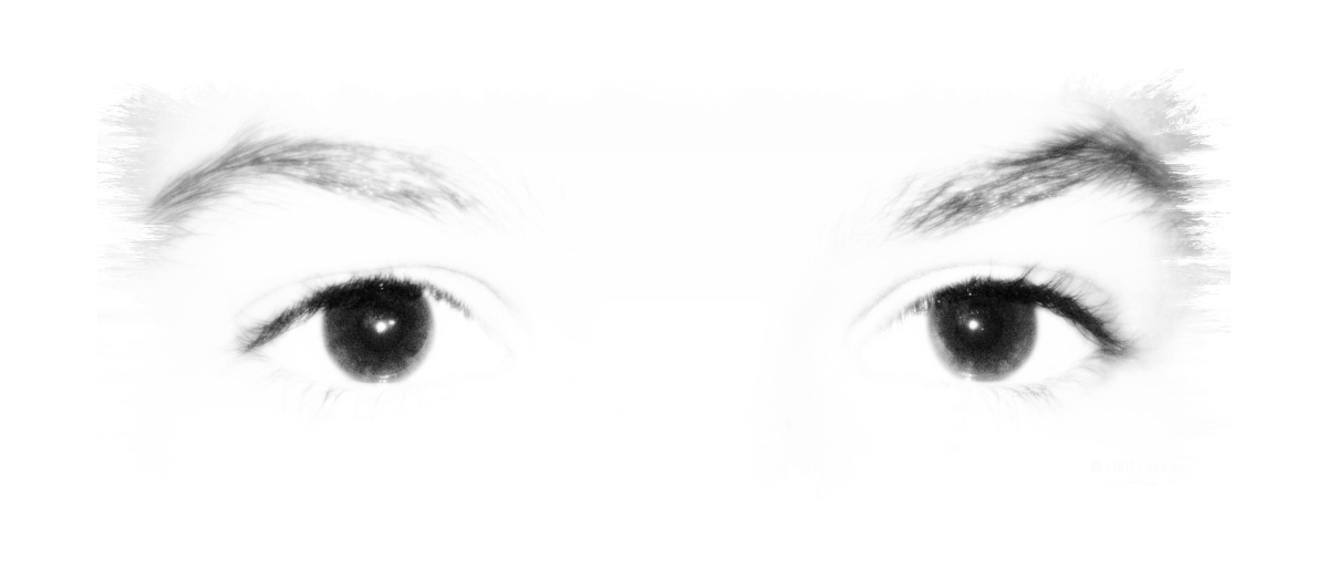 Black and white high key contrast of eyes and eyebrows. Copyright by Shireen Jeejeebhoy.