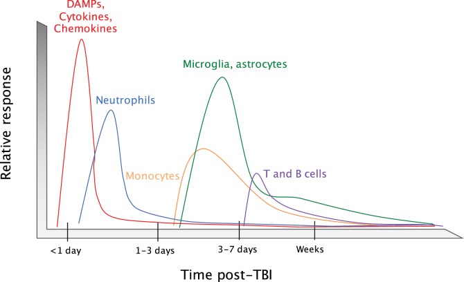timeline of immune response showing what happens at different days